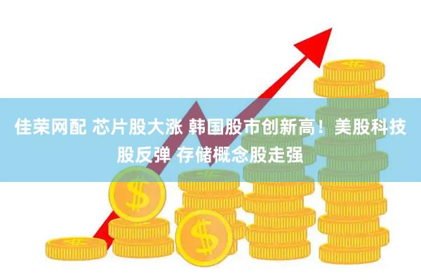 佳荣网配 芯片股大涨 韩国股市创新高！美股科技股反弹 存储概念股走强
