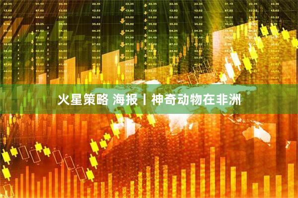 火星策略 海报丨神奇动物在非洲