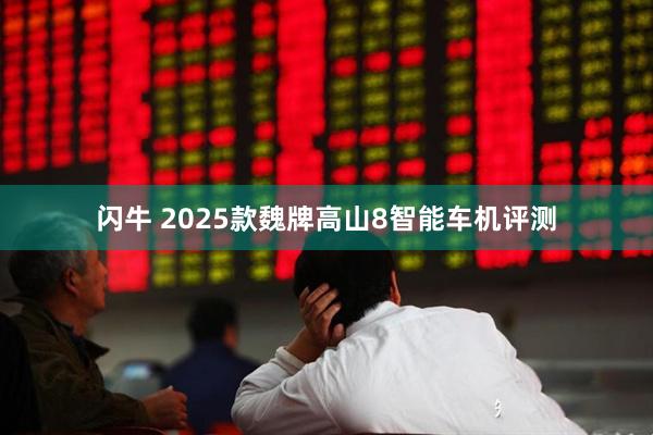 闪牛 2025款魏牌高山8智能车机评测