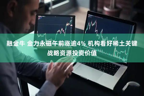 融金牛 金力永磁午前涨逾4% 机构看好稀土关键战略资源投资价值