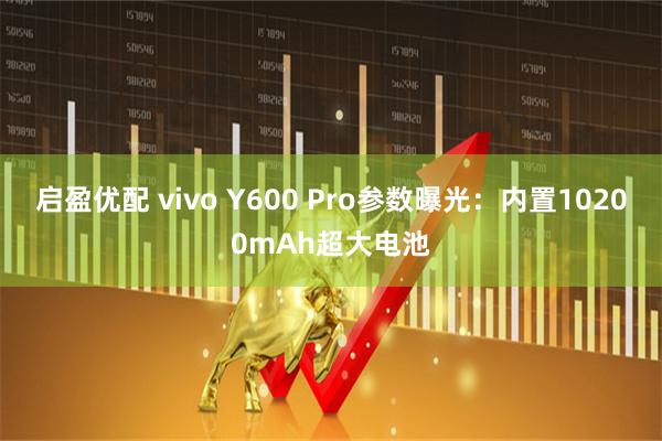 启盈优配 vivo Y600 Pro参数曝光：内置10200mAh超大电池