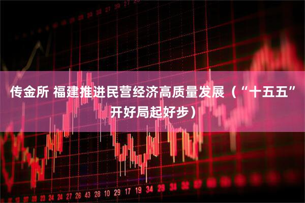 传金所 福建推进民营经济高质量发展（“十五五”开好局起好步）